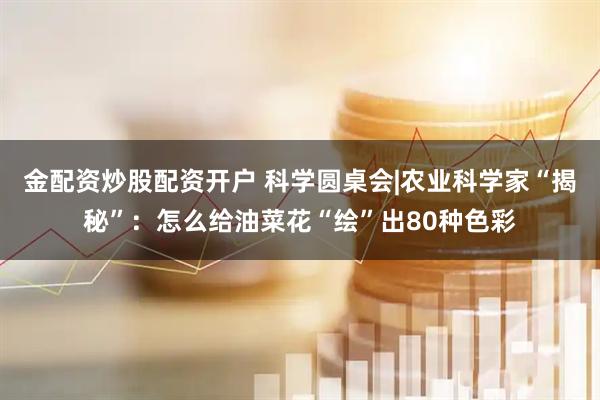 金配资炒股配资开户 科学圆桌会|农业科学家“揭秘”：怎么给油菜花“绘”出80种色彩